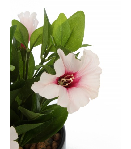 Pétunia artificiel rose blanc