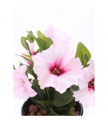 Pétunia artificiel rose