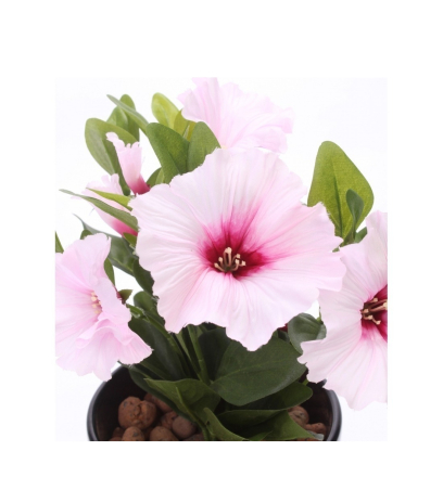 Pétunia artificiel rose