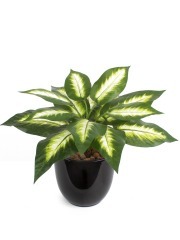 Mini dieffenbachia artificiel