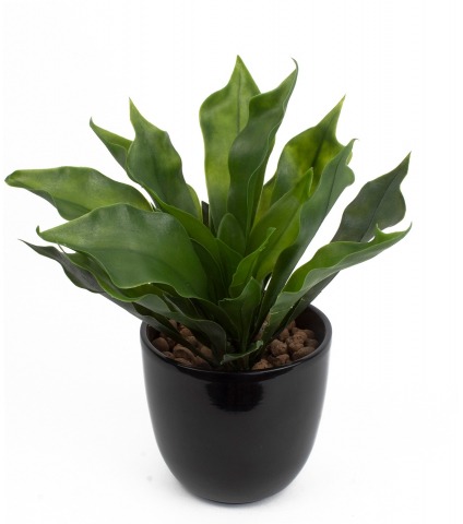 Platycerium artificiel vert clair