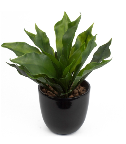 Platycerium artificiel vert clair