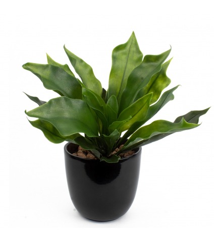 Platycerium artificiel vert clair