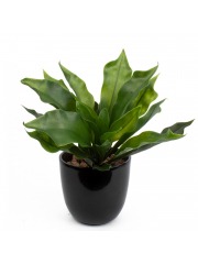 Platycerium artificiel vert clair