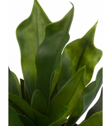 Platycerium artificiel vert clair