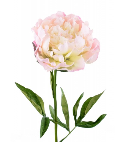 Fleur de pivoine artificielle rose