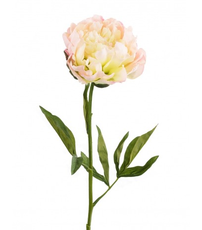 Fleur de pivoine artificielle rose