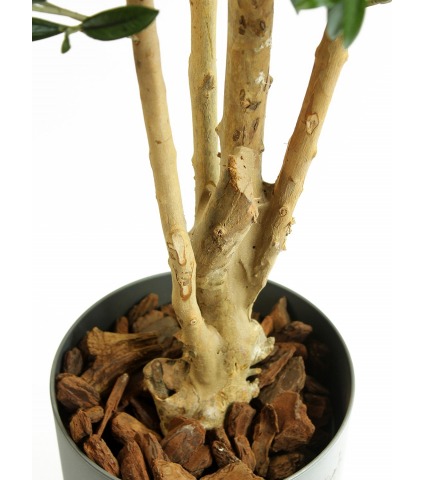 Olivier artificiel tronc noueux