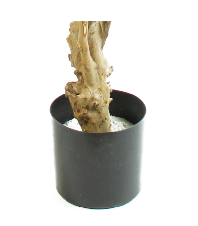 Pot