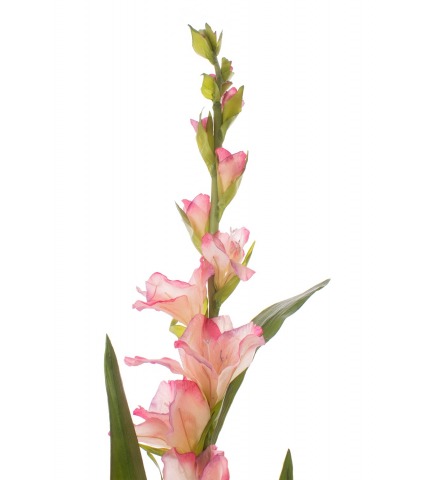 Fleur de glaïeul artificielle