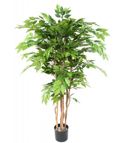 Charme commun artificiel