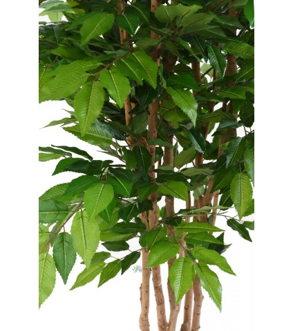 Charme commun artificiel