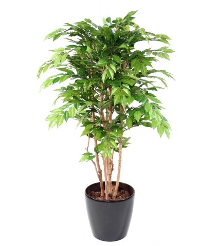 Charme commun artificiel