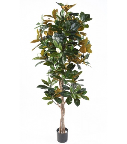 Magnolia artificiel fleuri