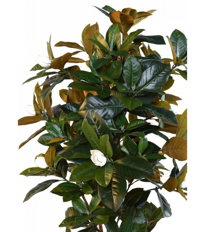 Magnolia artificiel fleuri