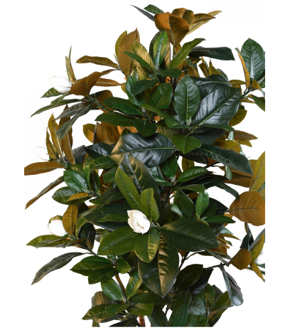 Magnolia artificiel fleuri