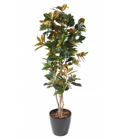 Magnolia artificiel fleuri