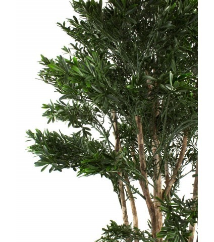 Saule tortueux artificiel