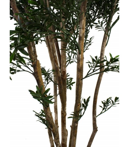 Saule tortueux artificiel