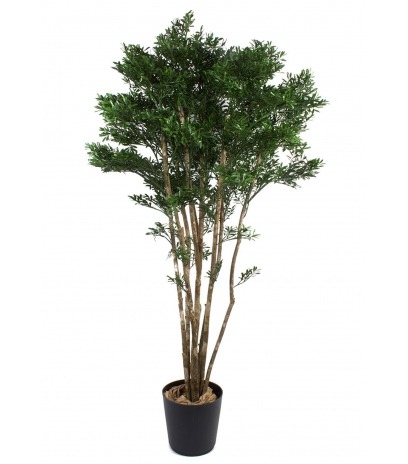 Saule tortueux artificiel