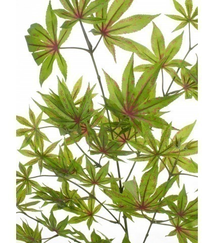 Feuille aralia artificielle