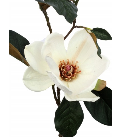 Branche de magnolia artificielle