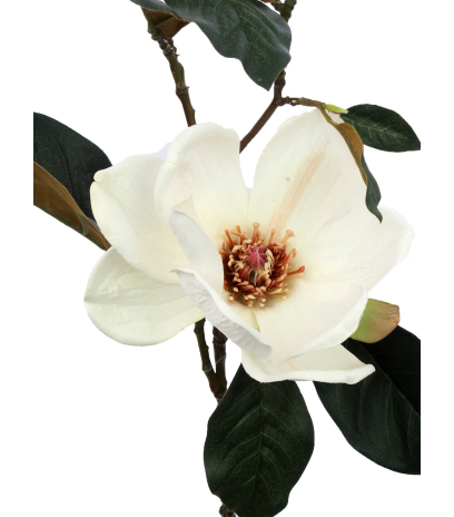 Branche de magnolia artificielle