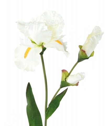 Grand iris artificiel blanc