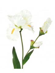 Grand iris artificiel blanc