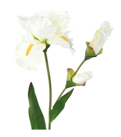 Grand iris artificiel blanc