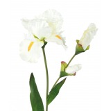Grand iris artificiel blanc