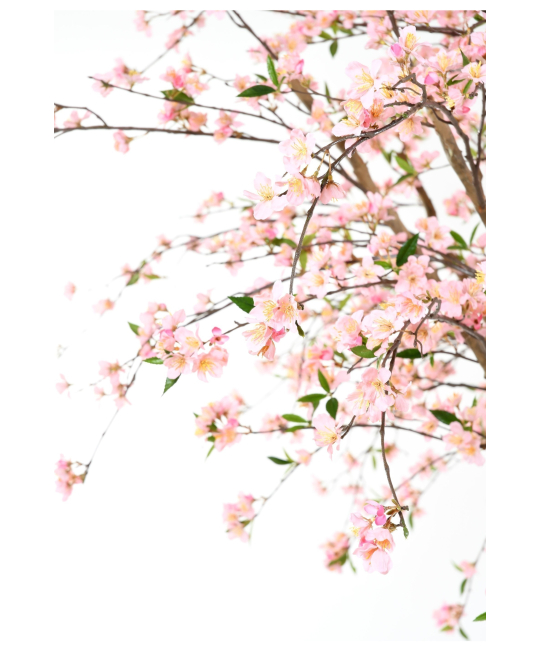 JMFHCD Cerisier artificiel/fleurs de pêcher japonais fait à la main - Arbre à souhaits rose