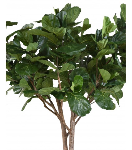 Lyrata artificiel géant