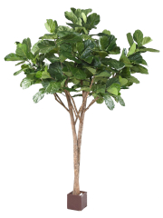 Lyrata artificiel géant