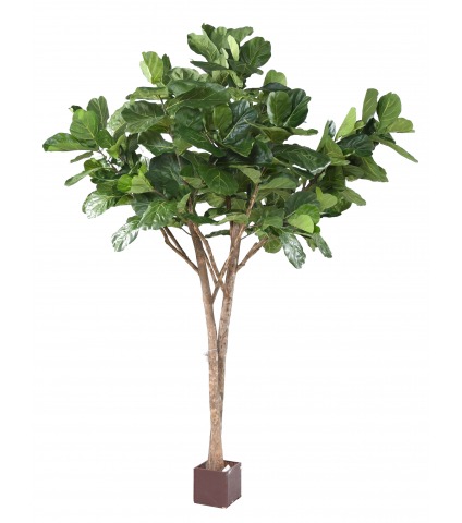 Lyrata artificiel géant