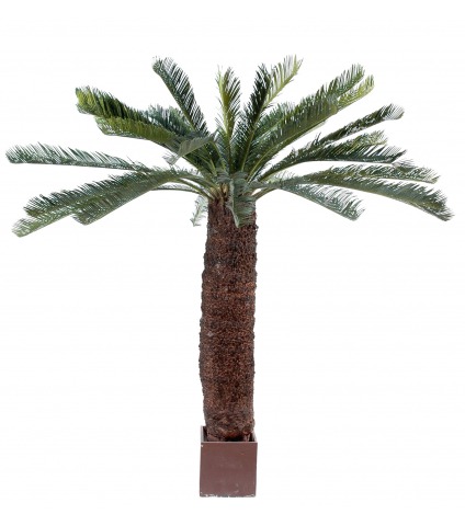 Cycas artificiel géant