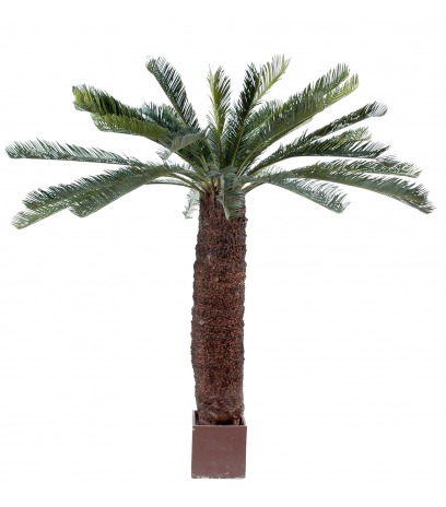 Cycas artificiel géant