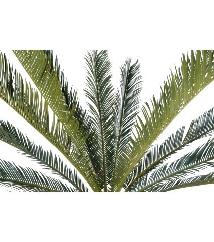 Cycas artificiel géant