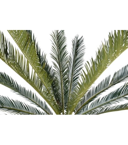 Cycas artificiel géant
