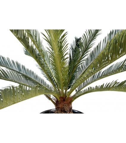 Cycas artificiel géant
