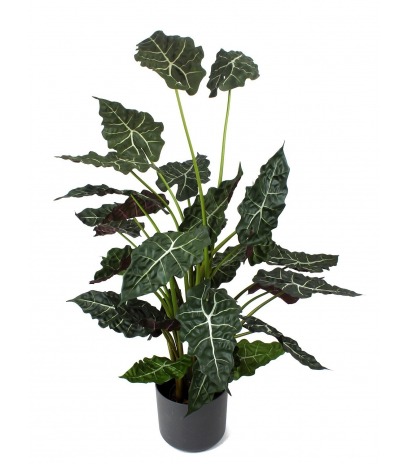 Alocasia artificiel sanderiana