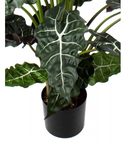 Alocasia artificiel sanderiana