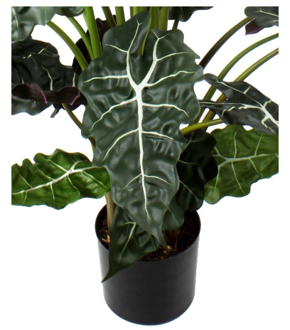 Alocasia artificiel sanderiana