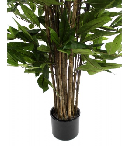 Dragonnier surculosa artificiel