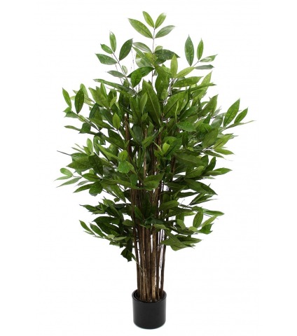 Dragonnier surculosa artificiel