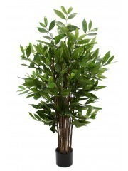 Dragonnier surculosa artificiel