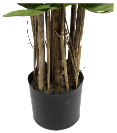 Pot
