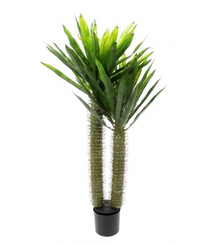 Pachypodium artificiel