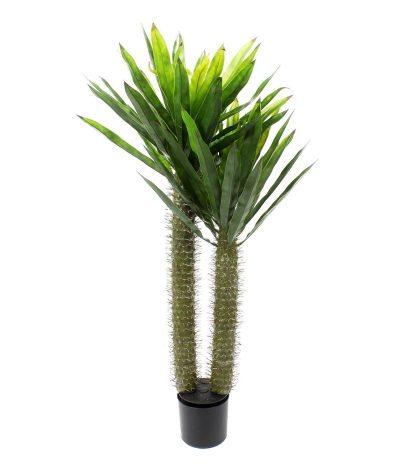 Pachypodium artificiel