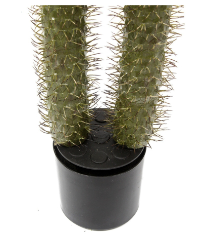 Pot